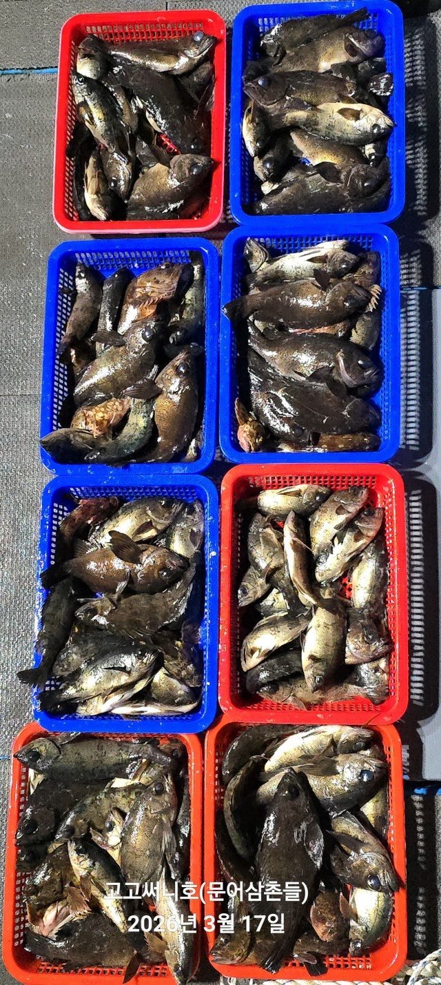 ����ڰ� �ø� �̹���