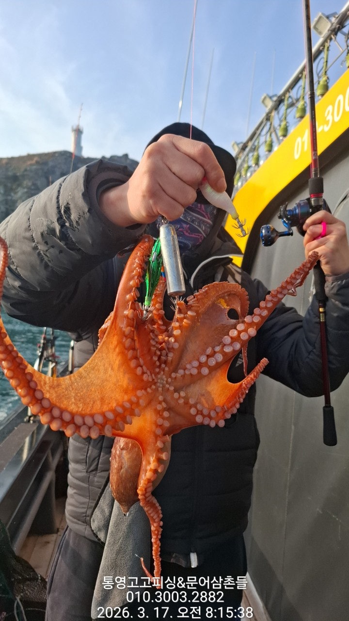 ����ڰ� �ø� �̹���