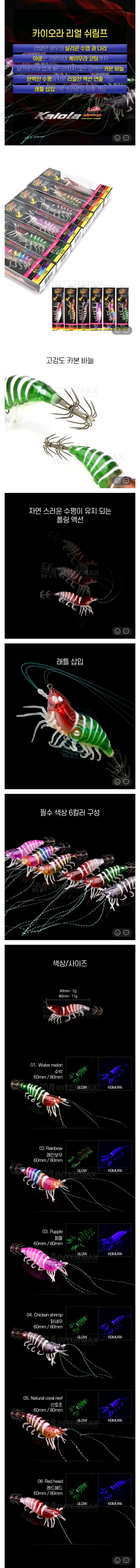 9월 8일 선상낚시 조황 현장 사진 2