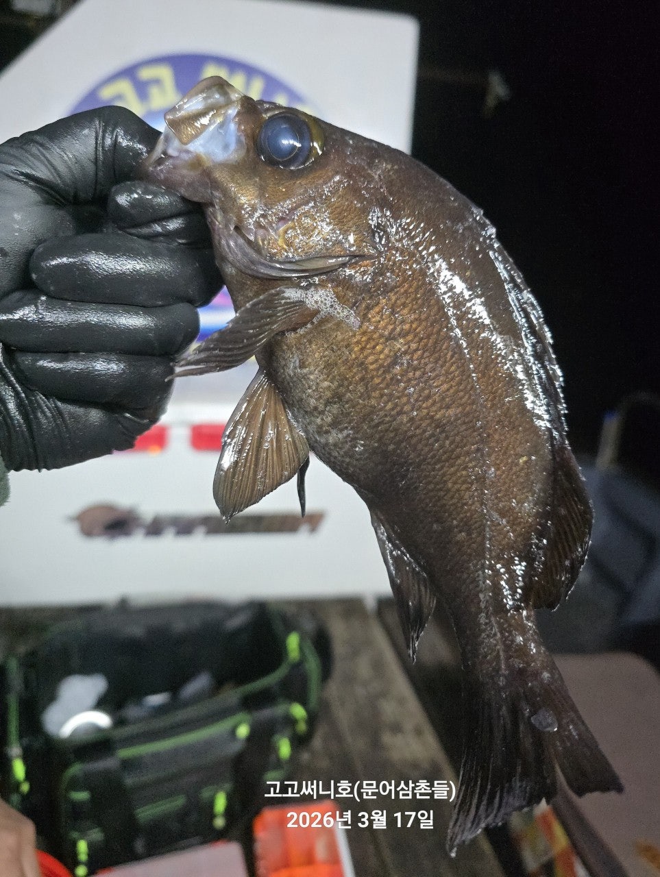 ����ڰ� �ø� �̹���