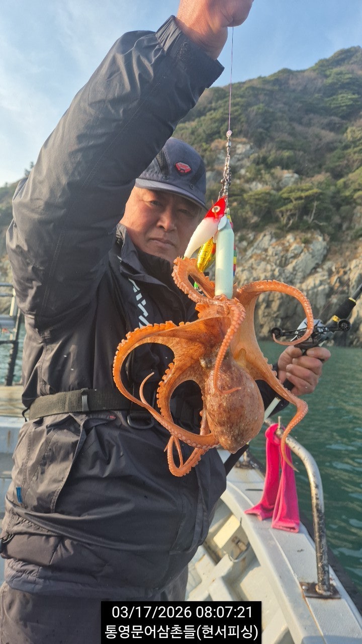 ����ڰ� �ø� �̹���