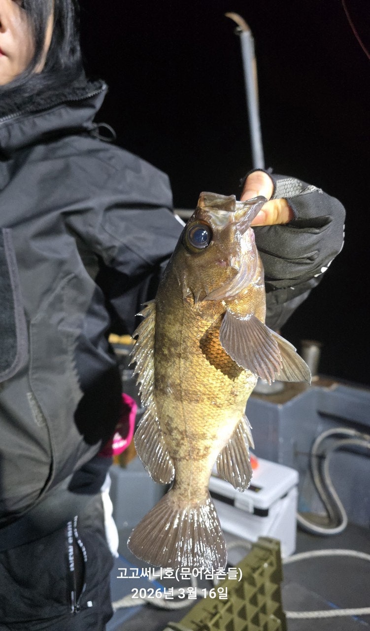 ����ڰ� �ø� �̹���