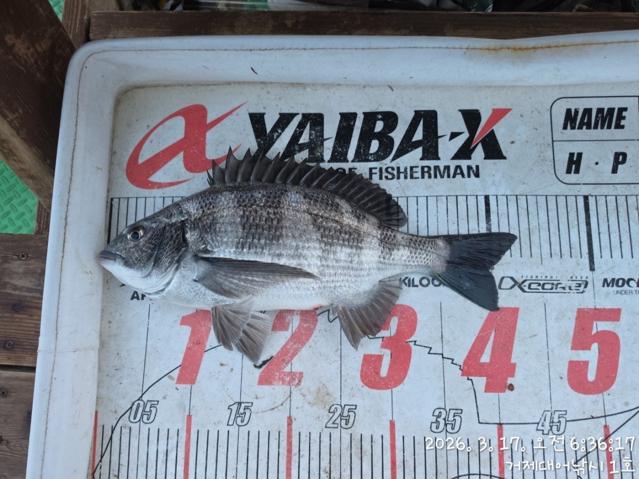 ����ڰ� �ø� �̹���