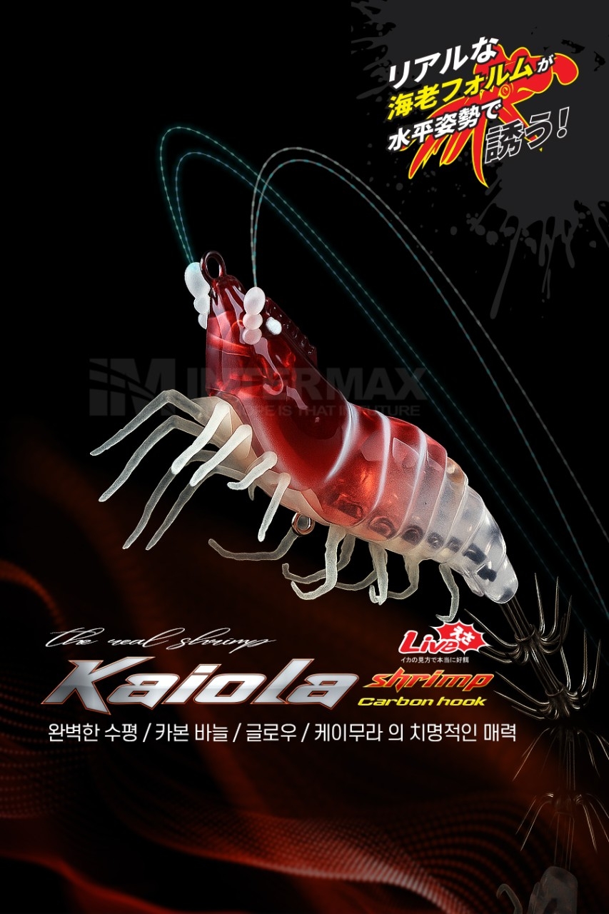 9월 8일 선상낚시 조황 현장 사진 1