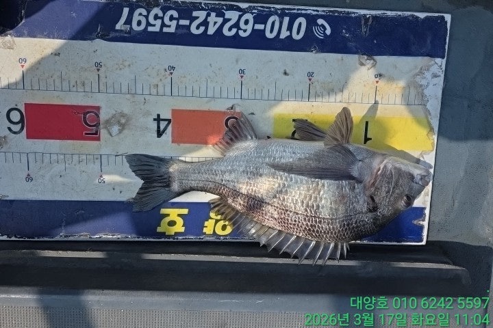 ����ڰ� �ø� �̹���