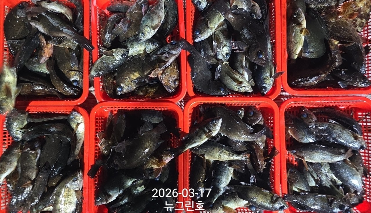 ����ڰ� �ø� �̹���