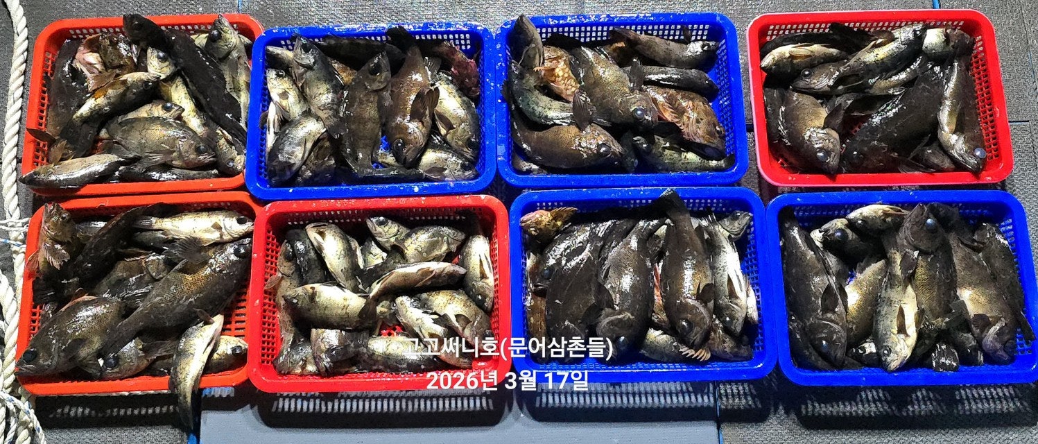 ����ڰ� �ø� �̹���