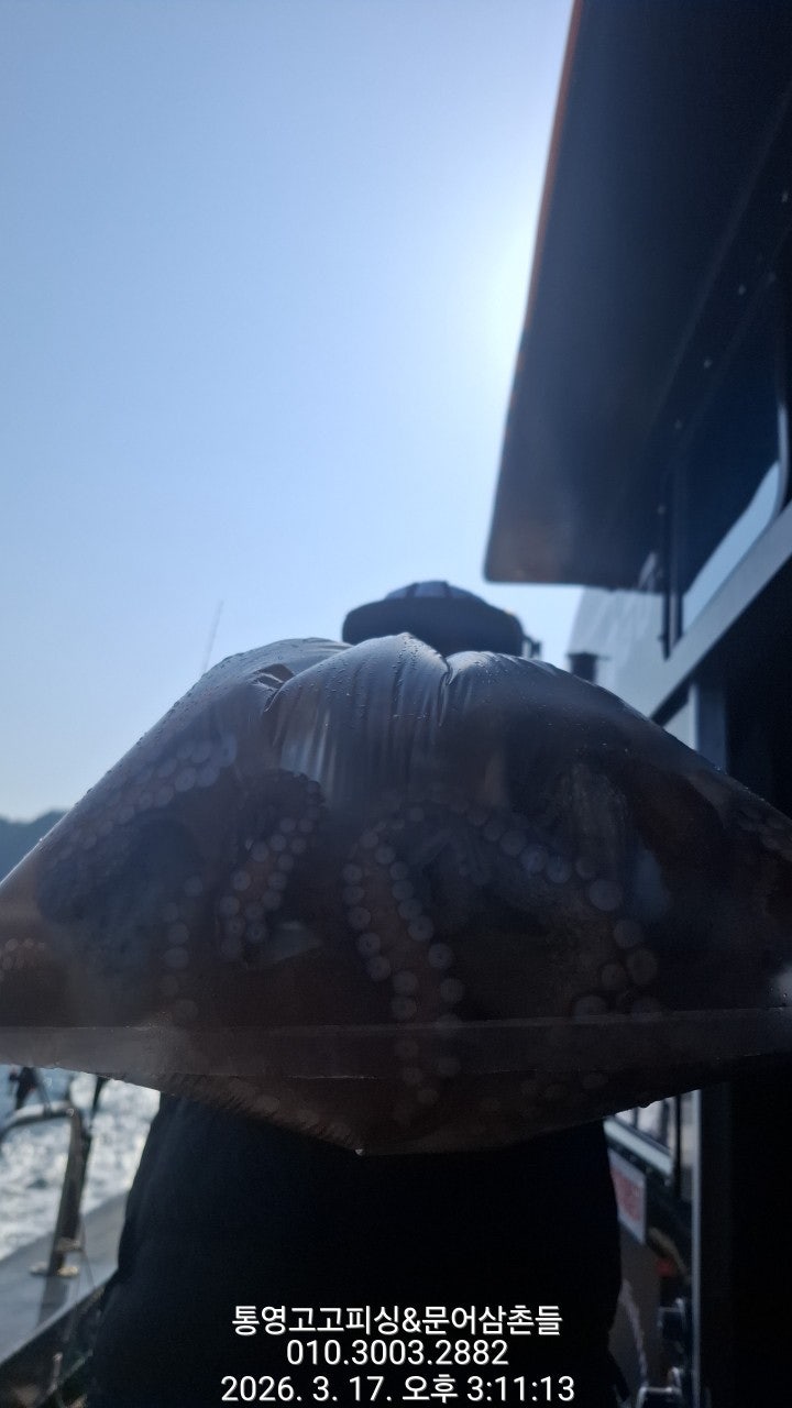 ����ڰ� �ø� �̹���