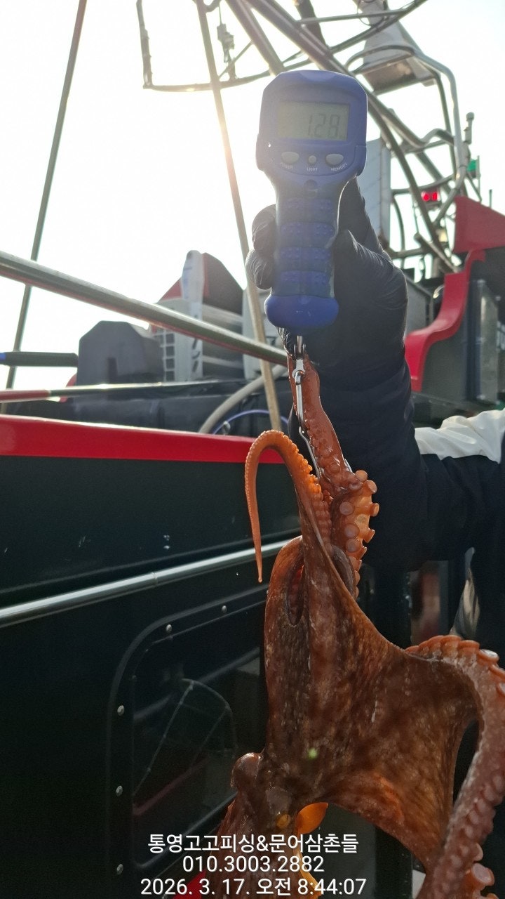 ����ڰ� �ø� �̹���