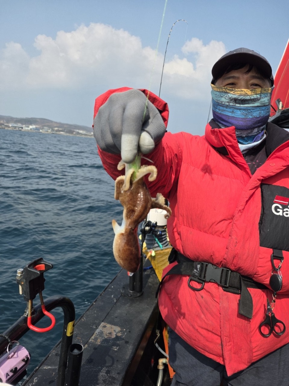 사용자가 올린 이미지