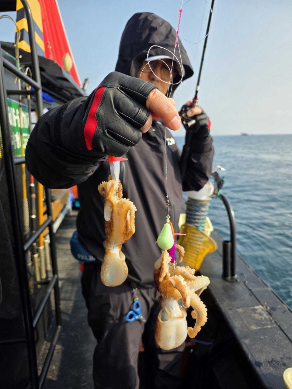 사용자가 올린 이미지