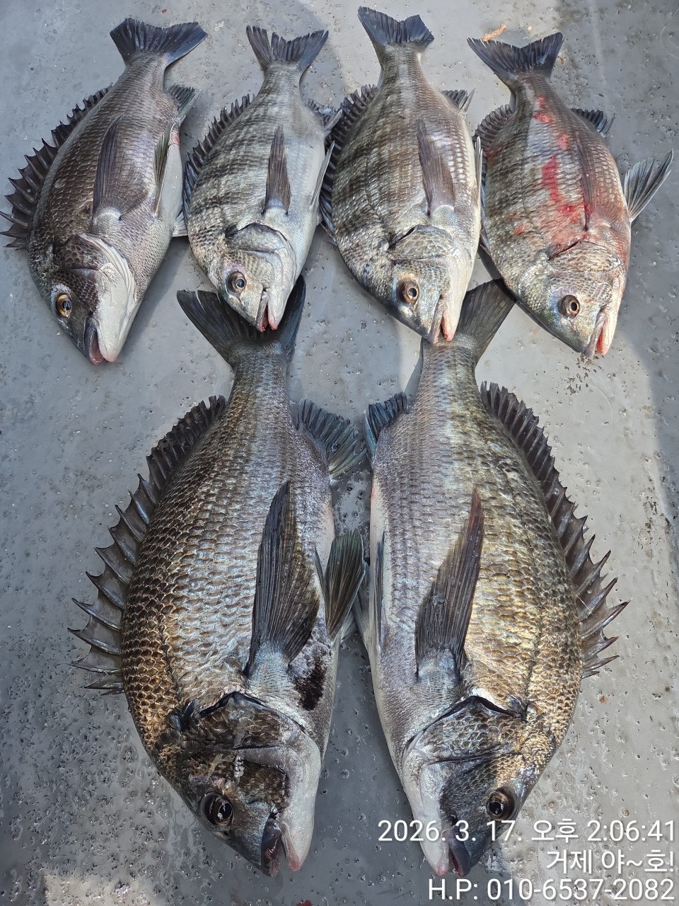 ����ڰ� �ø� �̹���