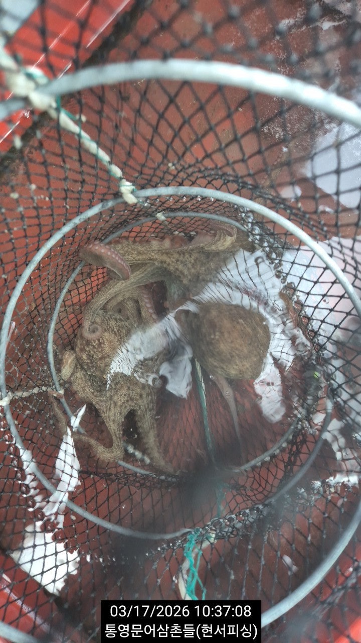 ����ڰ� �ø� �̹���