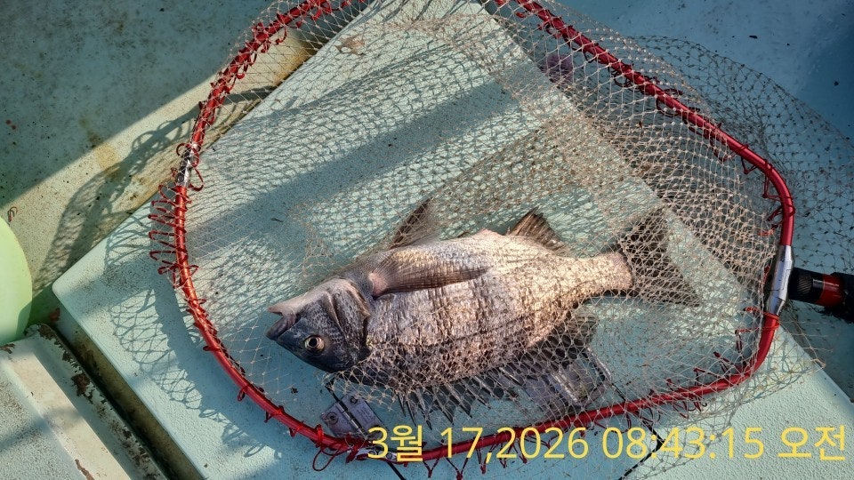 ����ڰ� �ø� �̹���