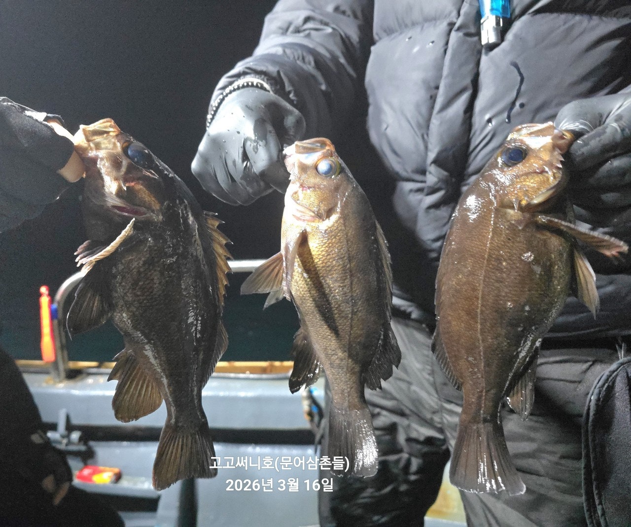 ����ڰ� �ø� �̹���