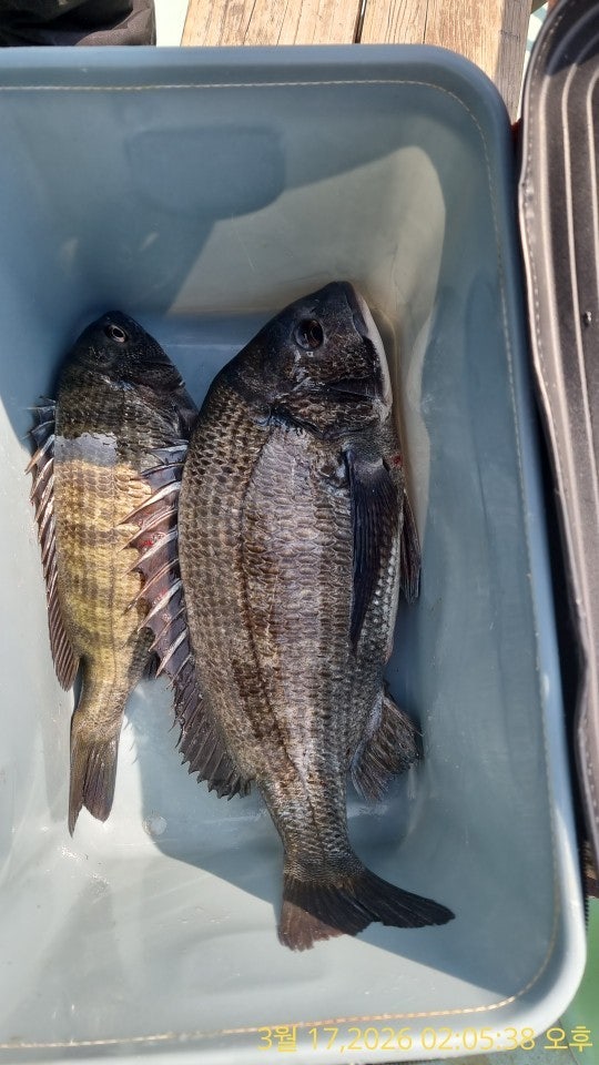 ����ڰ� �ø� �̹���