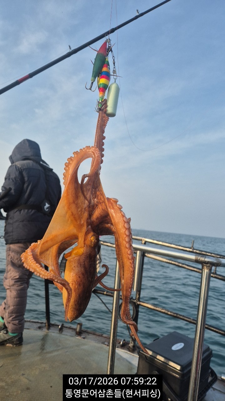 ����ڰ� �ø� �̹���