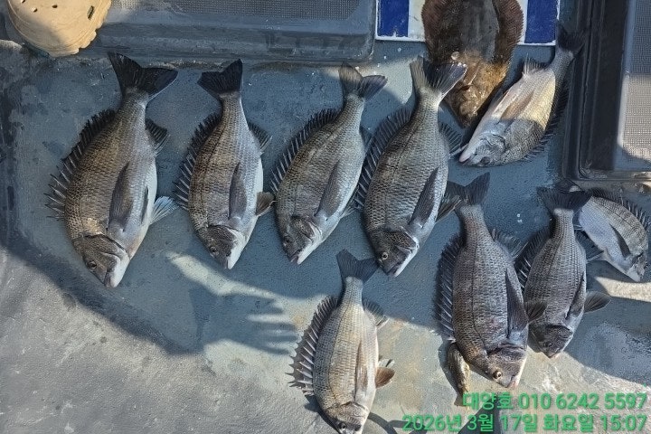 ����ڰ� �ø� �̹���