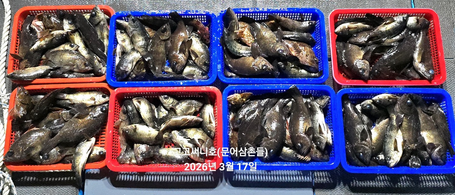 ����ڰ� �ø� �̹���