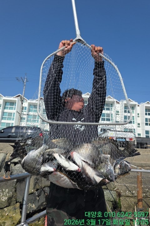 ����ڰ� �ø� �̹���