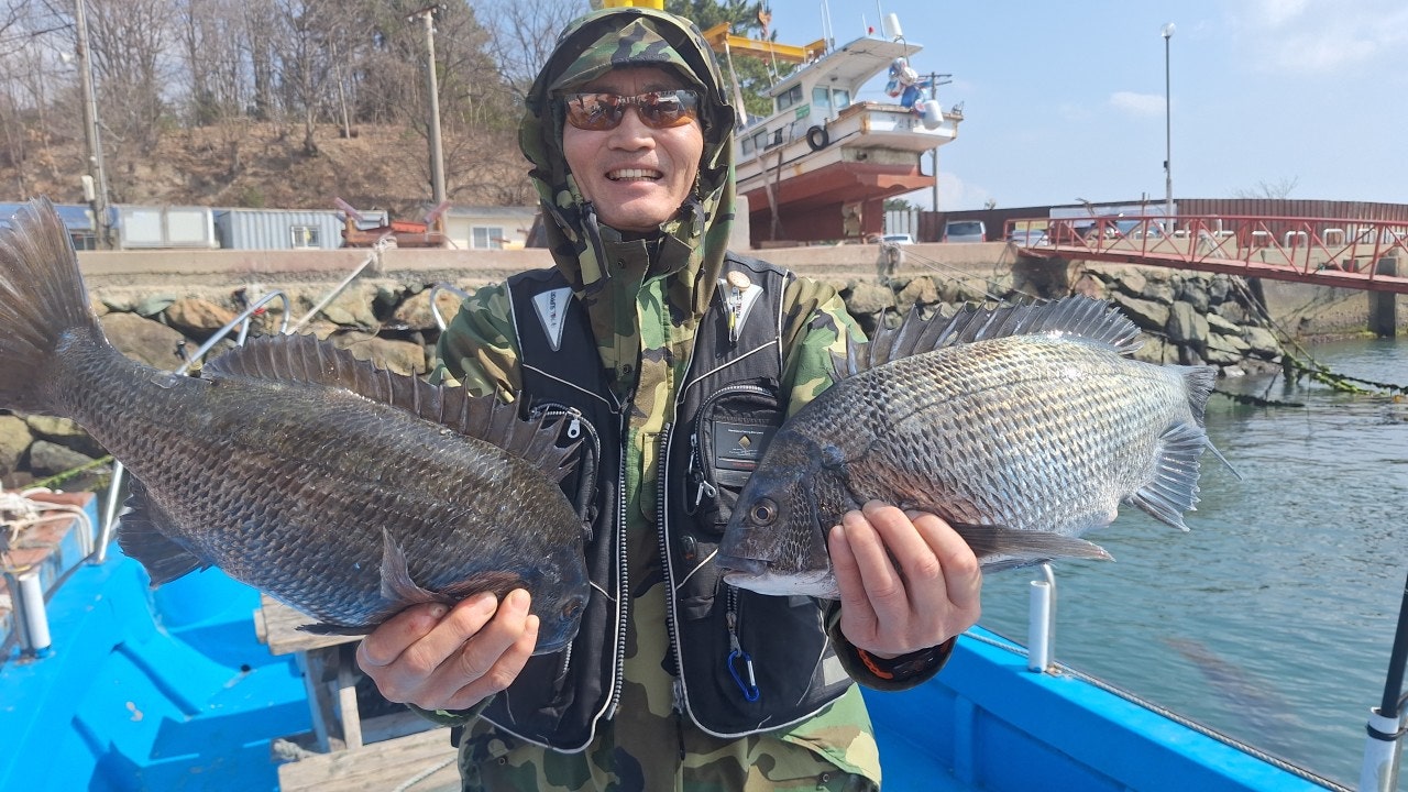 ����ڰ� �ø� �̹���