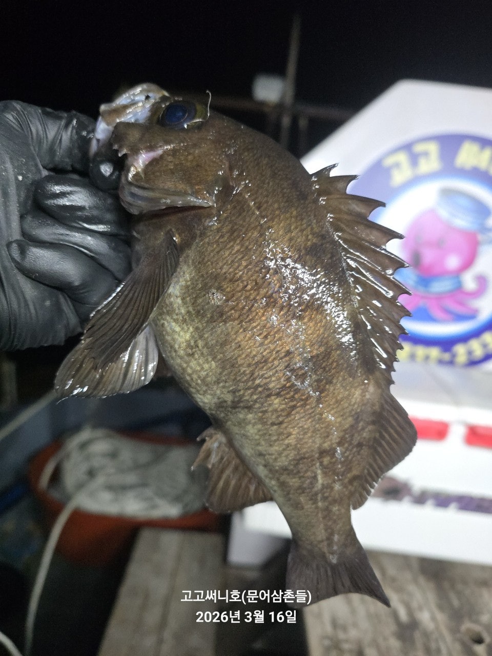 ����ڰ� �ø� �̹���