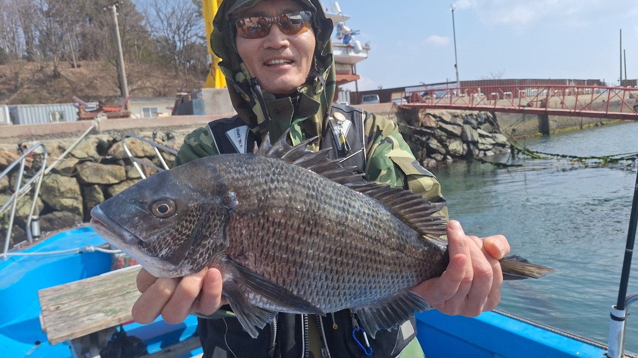 ����ڰ� �ø� �̹���