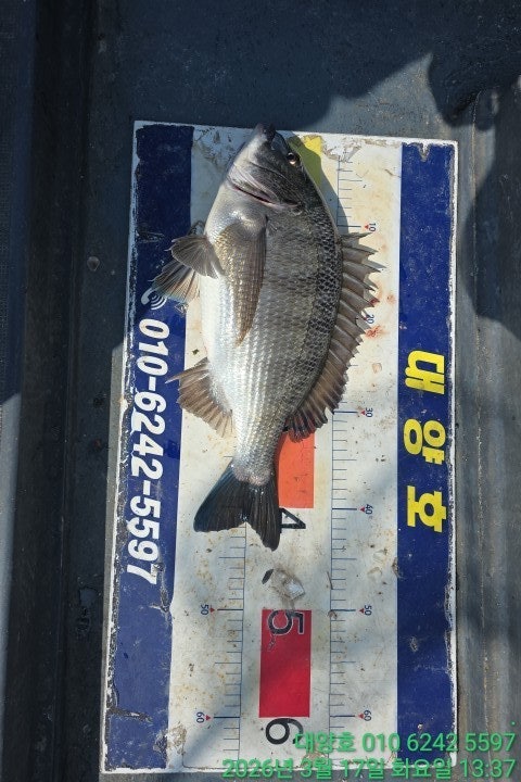 ����ڰ� �ø� �̹���