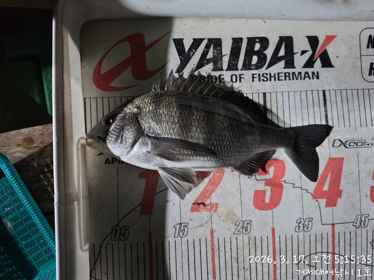 ����ڰ� �ø� �̹���