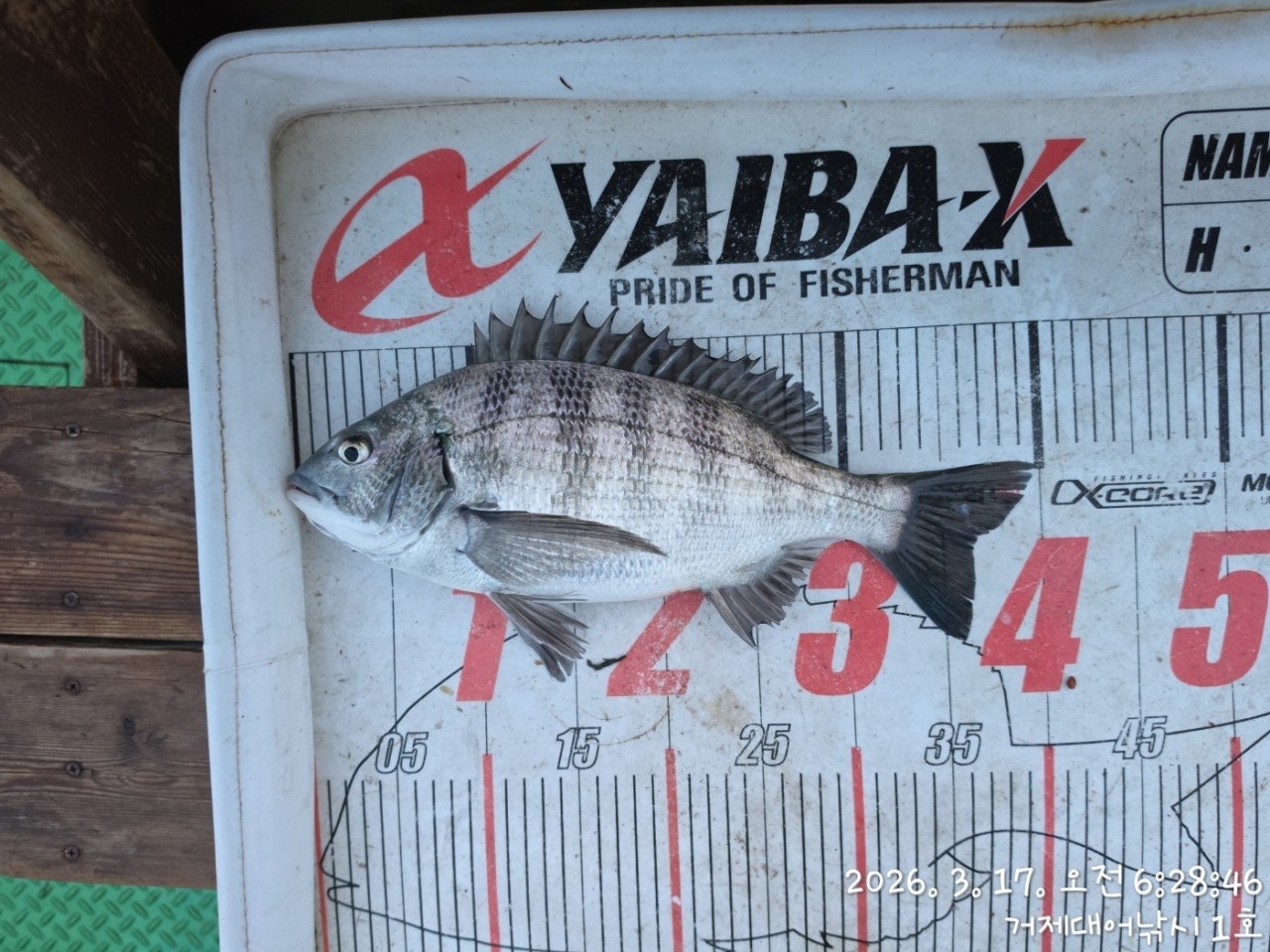 ����ڰ� �ø� �̹���