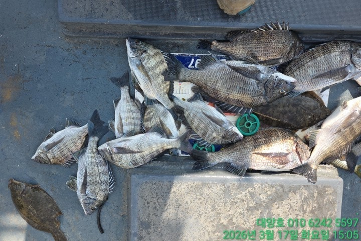 ����ڰ� �ø� �̹���