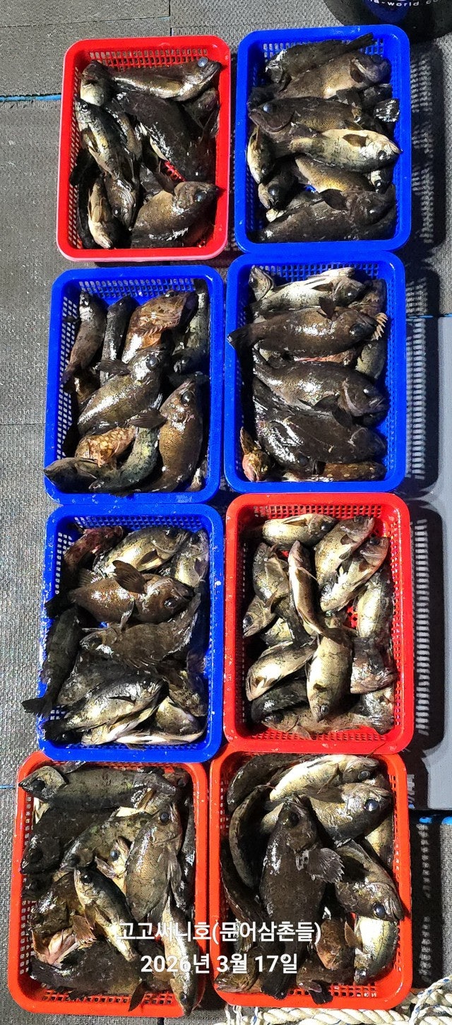 ����ڰ� �ø� �̹���