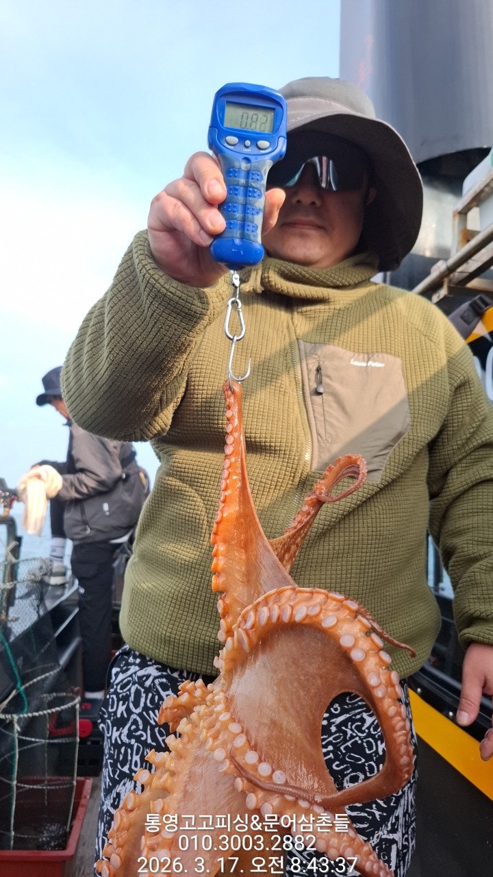 ����ڰ� �ø� �̹���