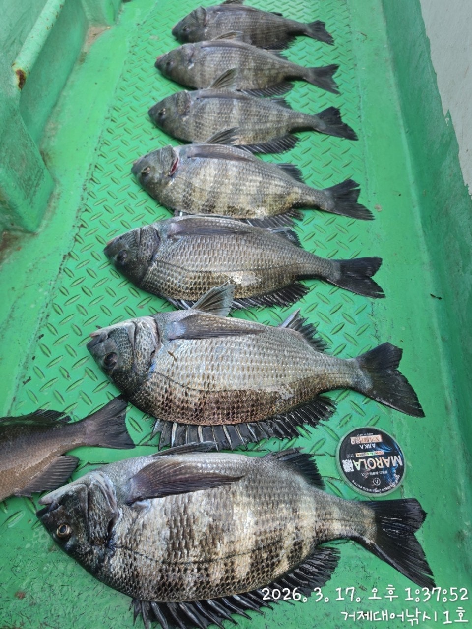 ����ڰ� �ø� �̹���