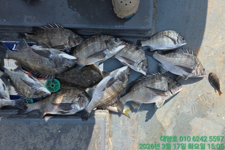 ����ڰ� �ø� �̹���