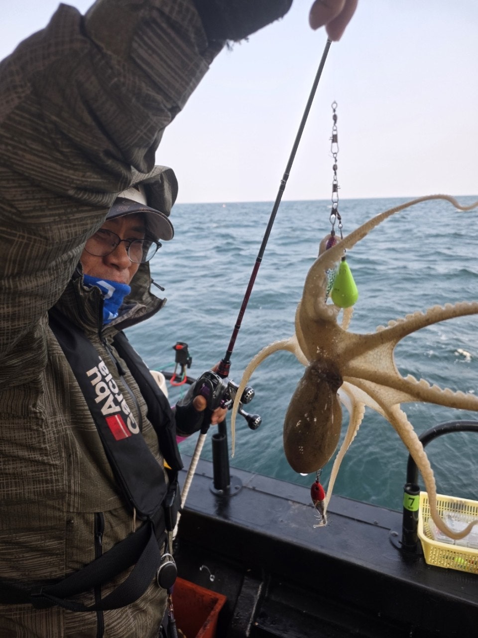 사용자가 올린 이미지