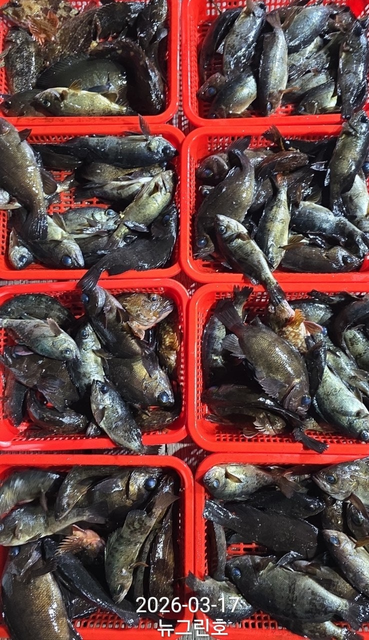 ����ڰ� �ø� �̹���