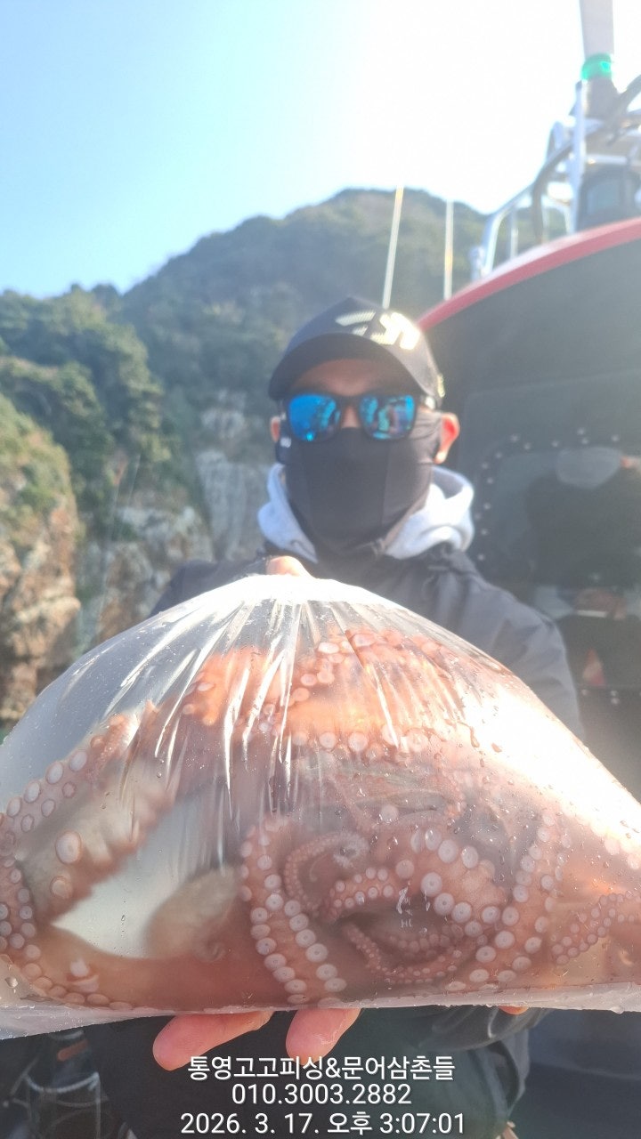 ����ڰ� �ø� �̹���