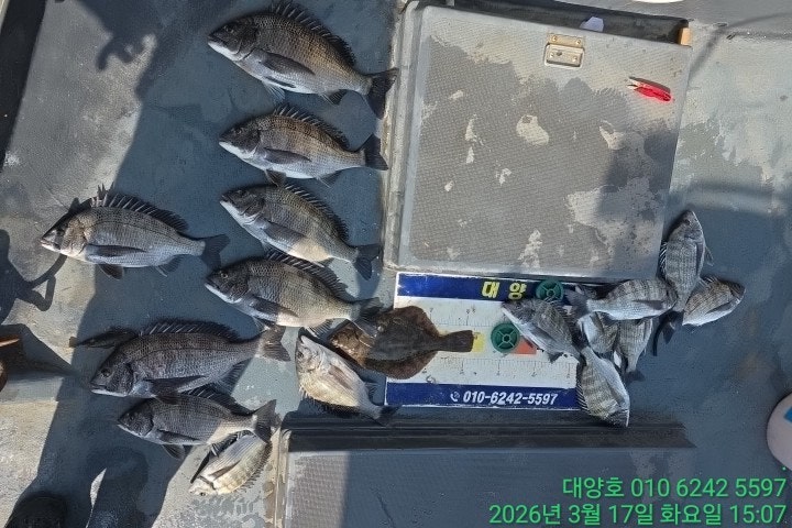 ����ڰ� �ø� �̹���