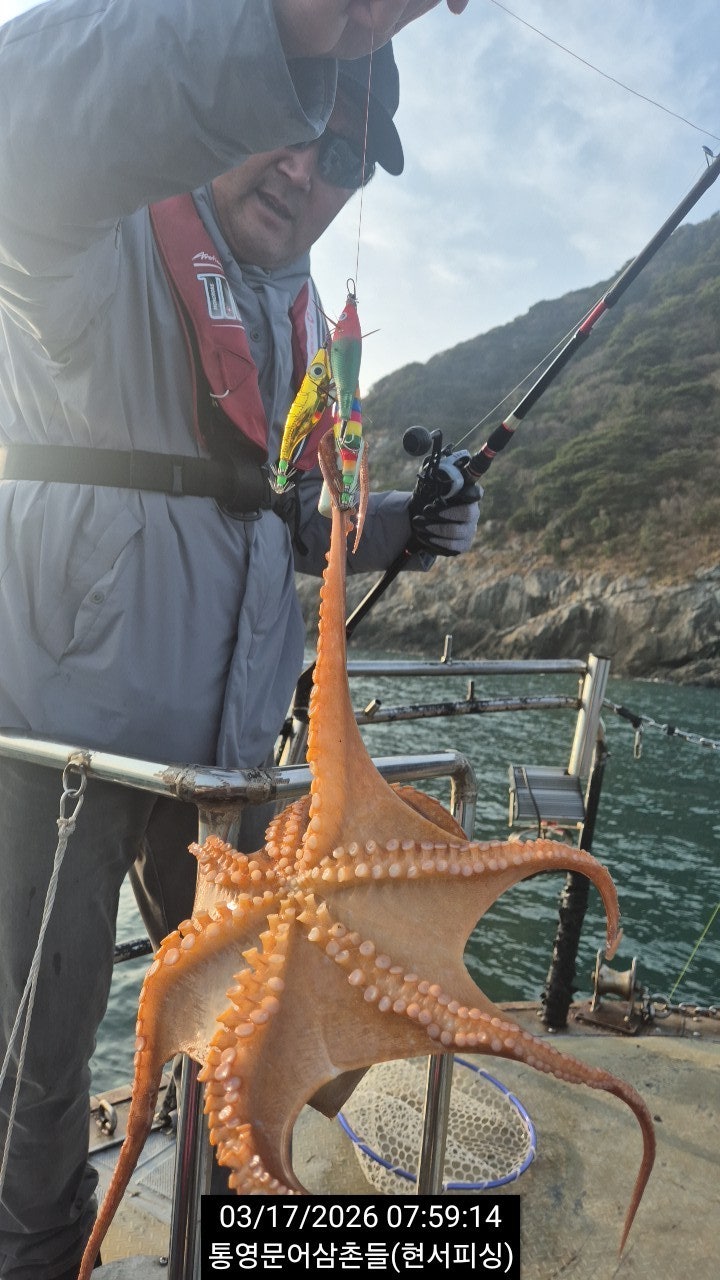 ����ڰ� �ø� �̹���