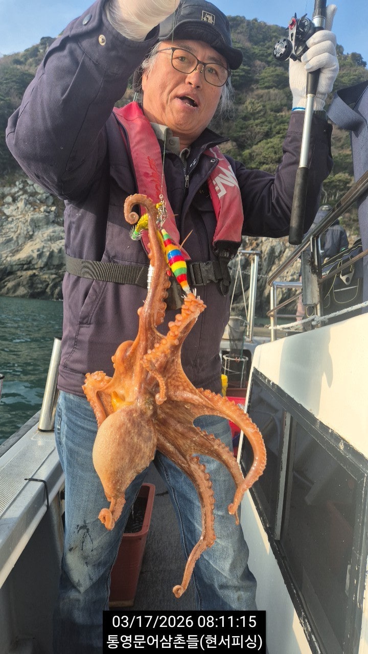 ����ڰ� �ø� �̹���