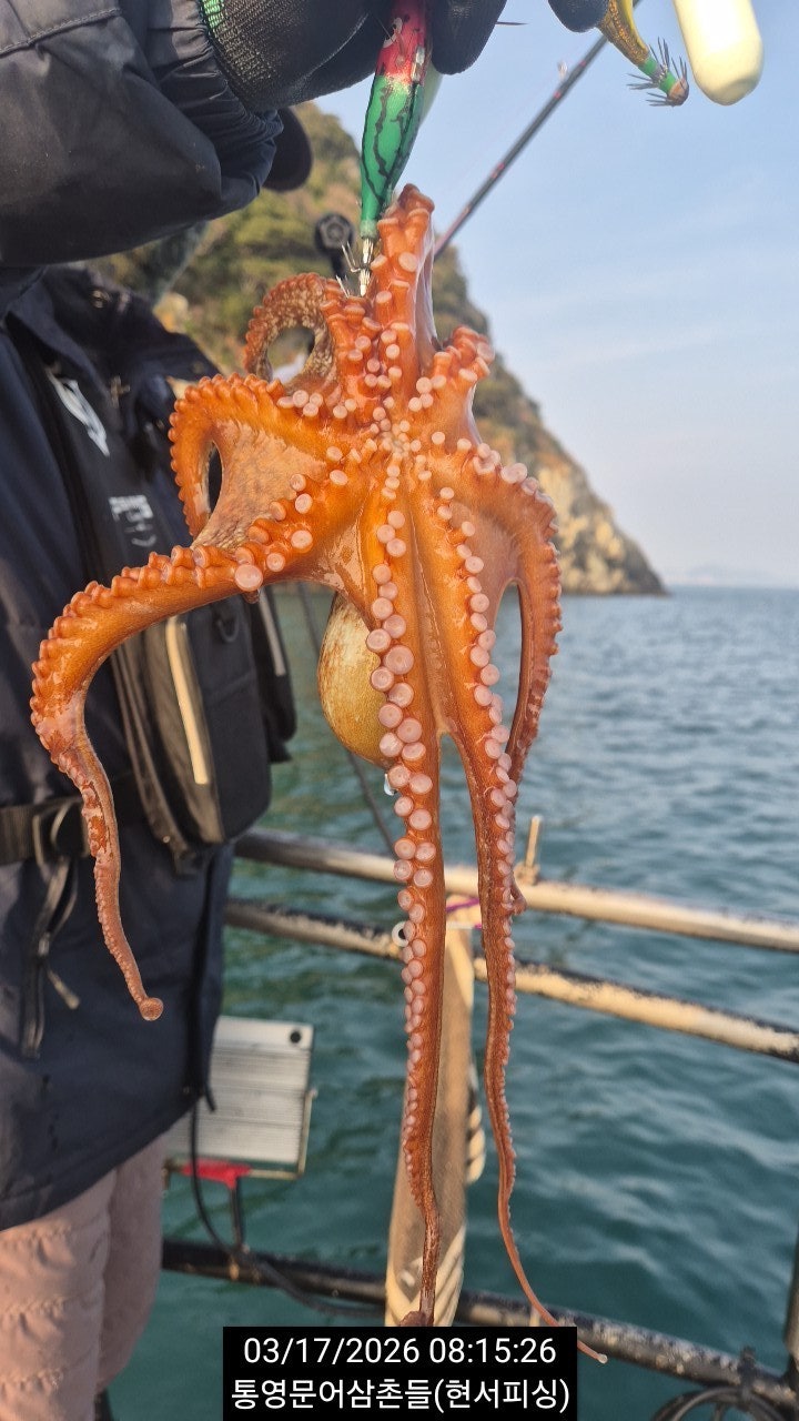 ����ڰ� �ø� �̹���