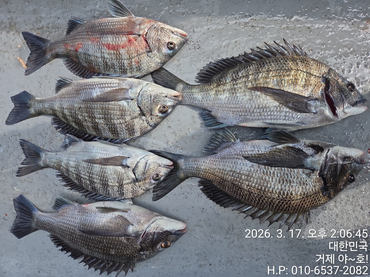 ����ڰ� �ø� �̹���