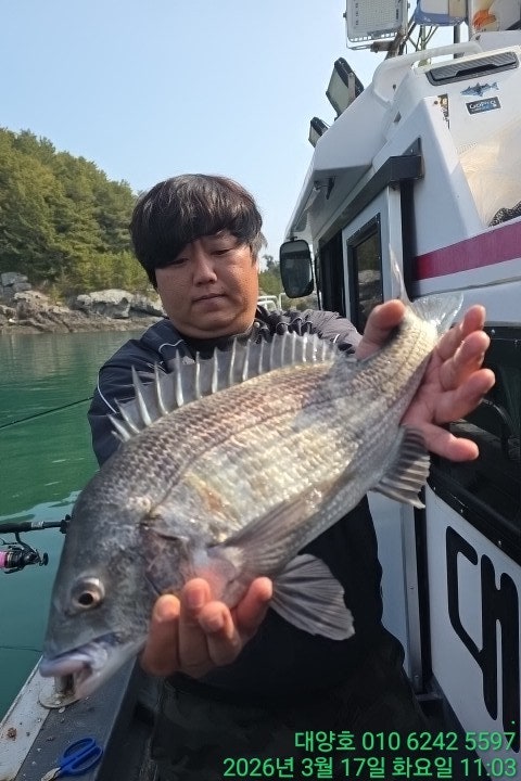 ����ڰ� �ø� �̹���