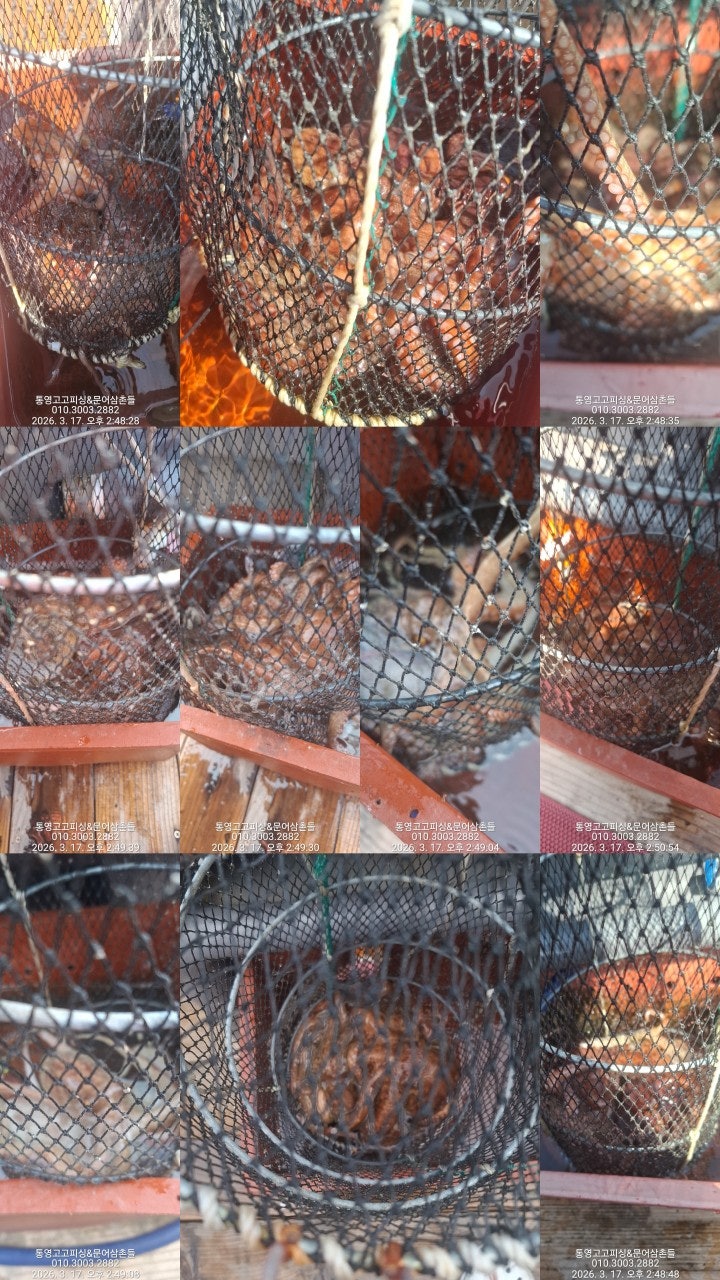 ����ڰ� �ø� �̹���