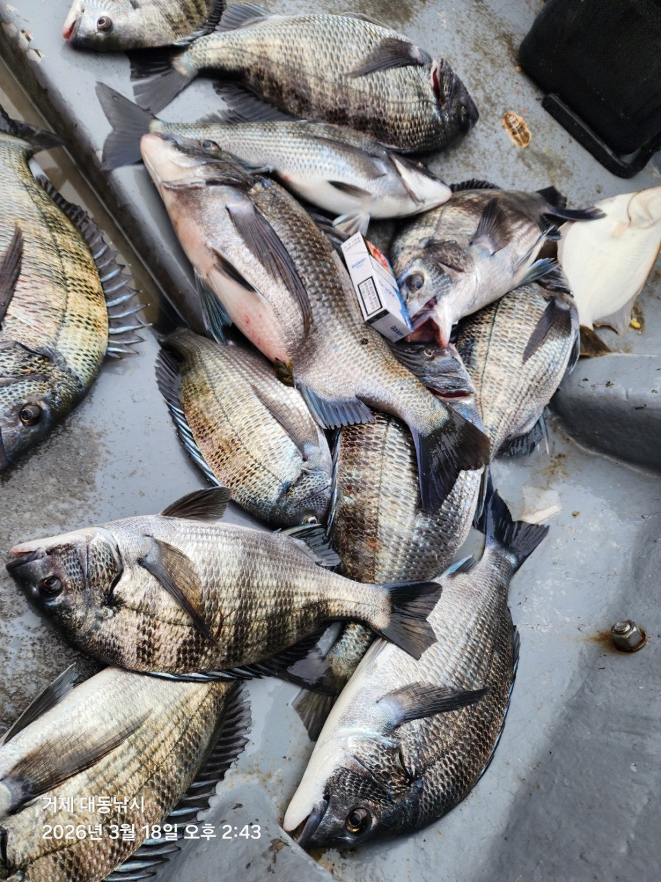 ����ڰ� �ø� �̹���