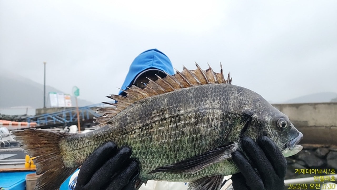 ����ڰ� �ø� �̹���