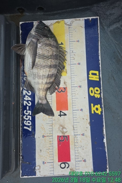 ����ڰ� �ø� �̹���