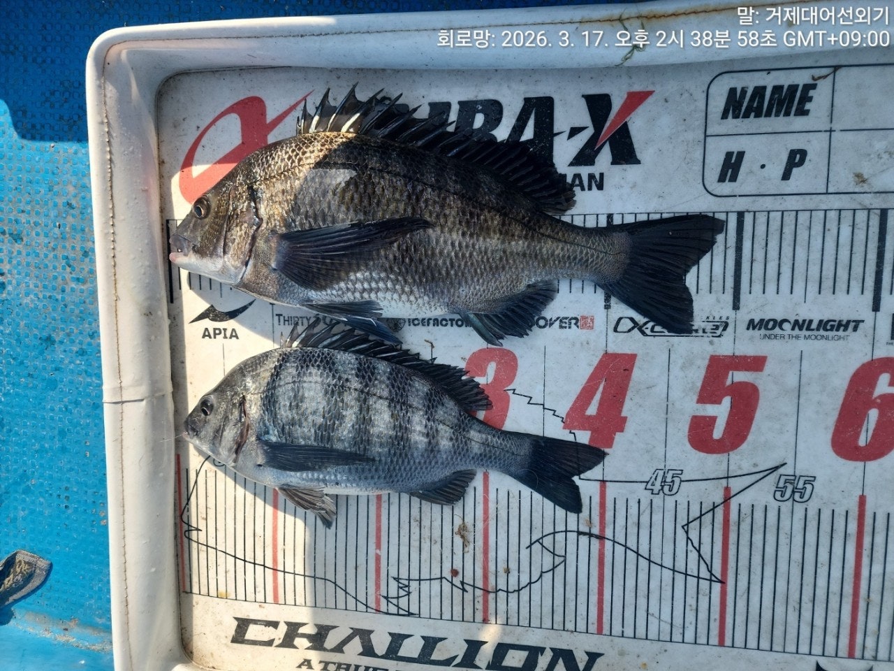 ����ڰ� �ø� �̹���