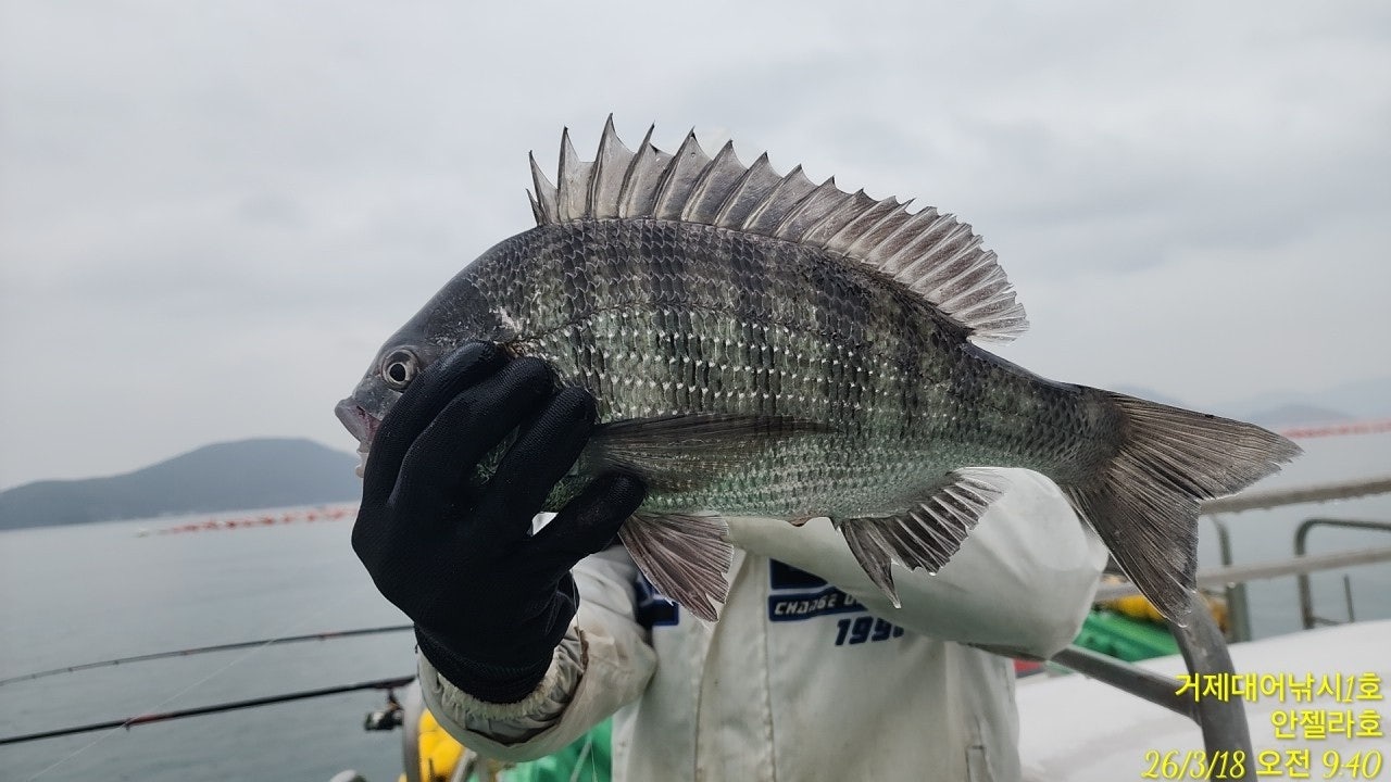 ����ڰ� �ø� �̹���